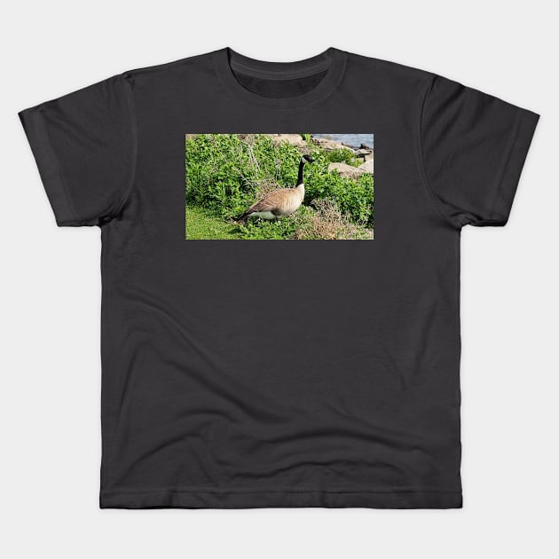 Canada Goose Resting In a Bush Kids T-Shirt by BackyardBirder